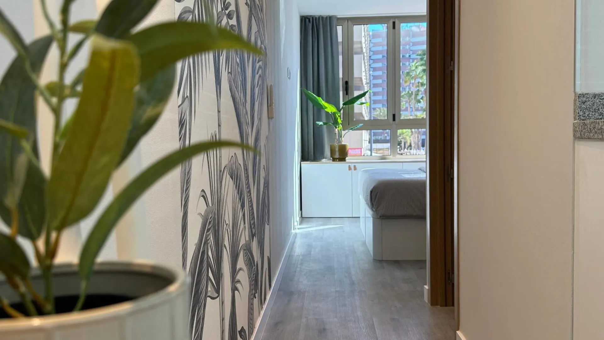 Apartment Danubio Estudios 107 Playa del Ingles